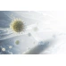 Electrolux EFFBRZ2