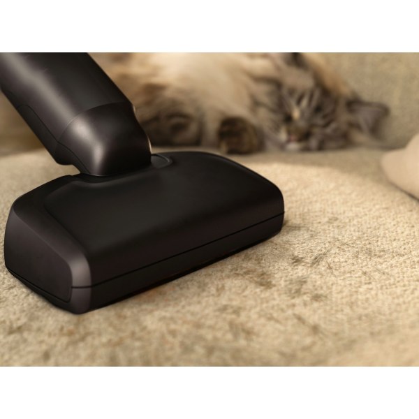 Hubice PetPro – pro domov bez chlupů
